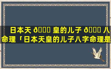 日本天 🐅 皇的儿子 🐝 八字命理「日本天皇的儿子八字命理是什么」